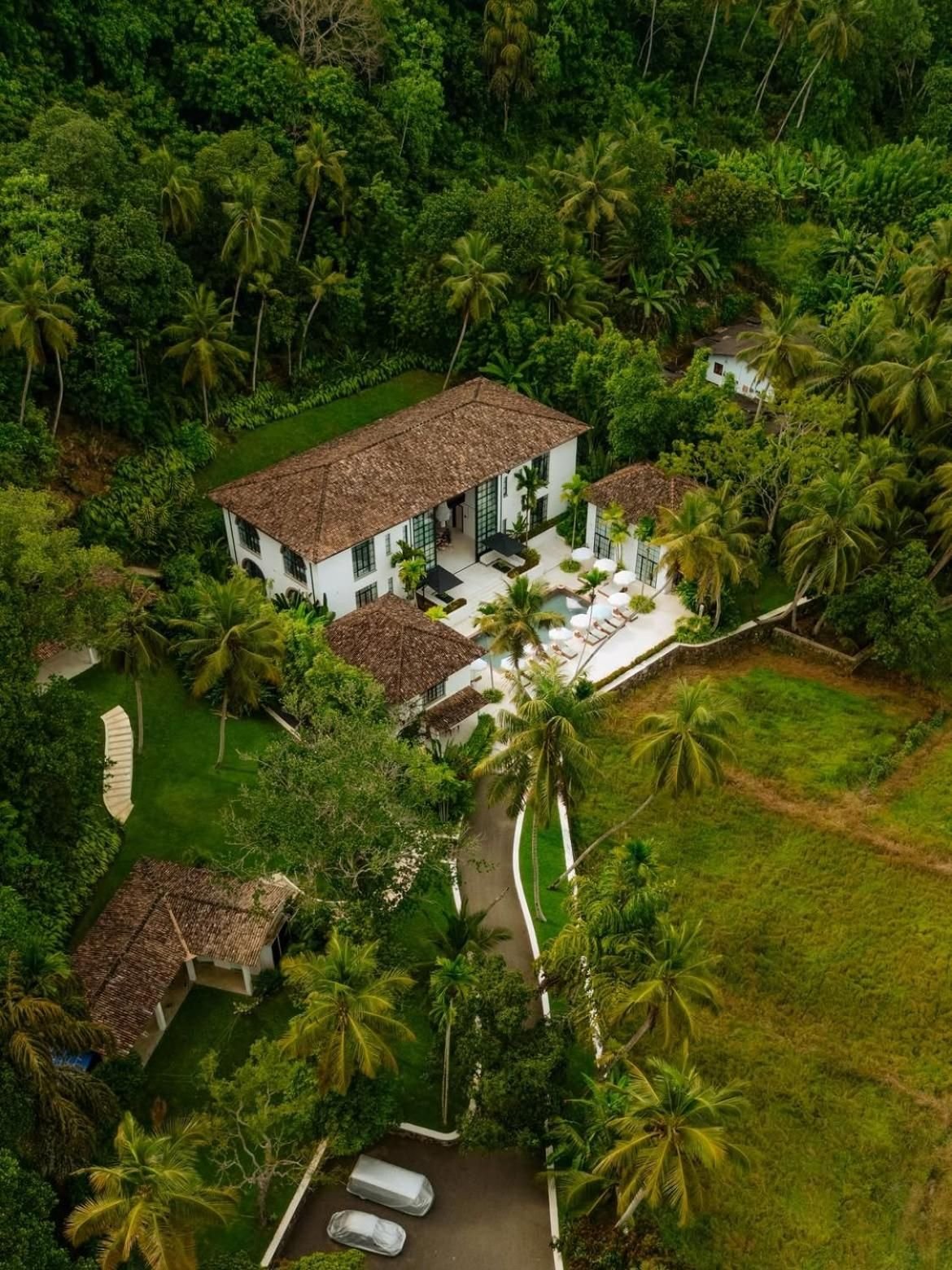 Aerial view over the jungle
