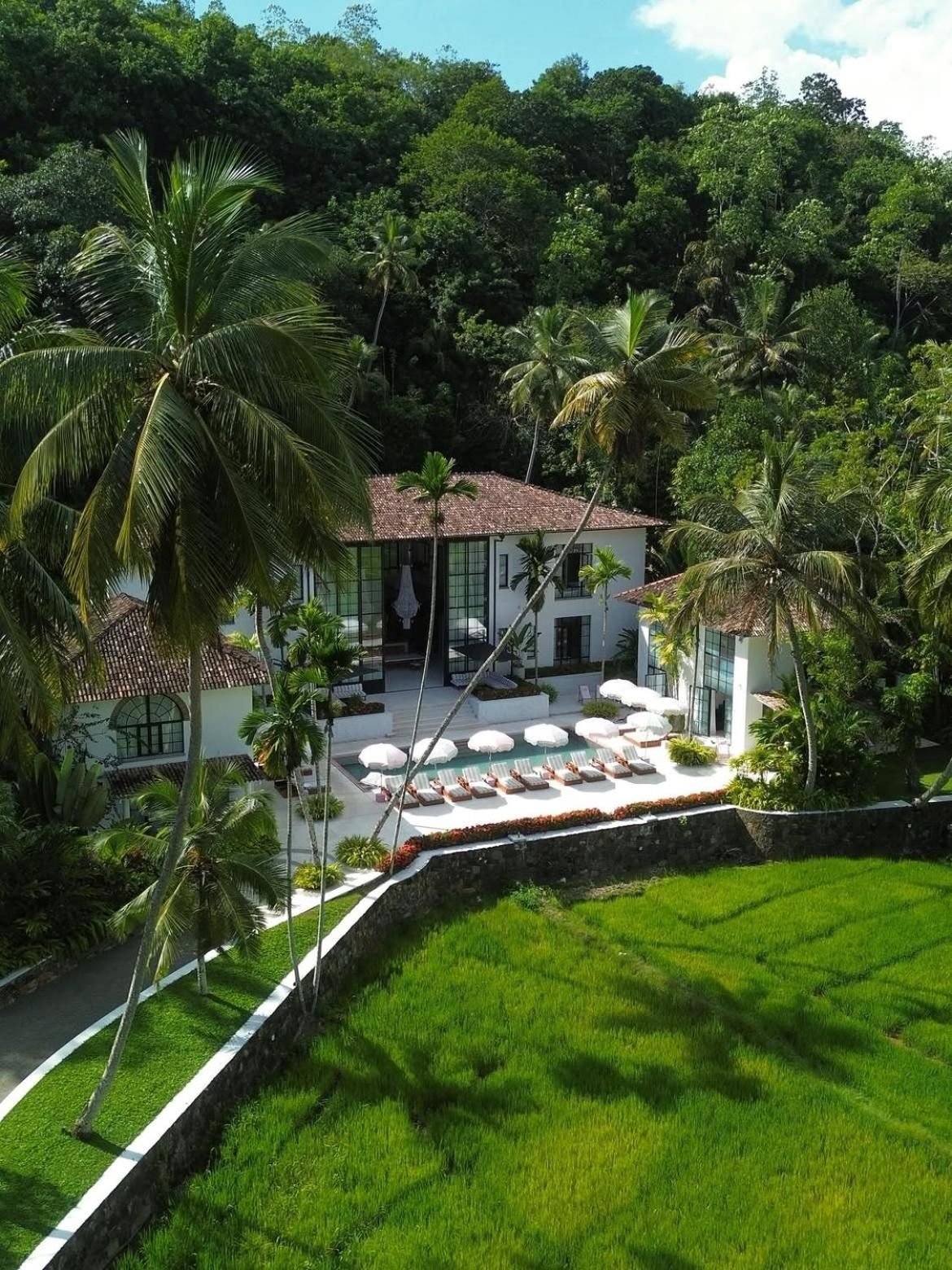 Aerial view over the rice terrace to the hotel and the jungle beyond
