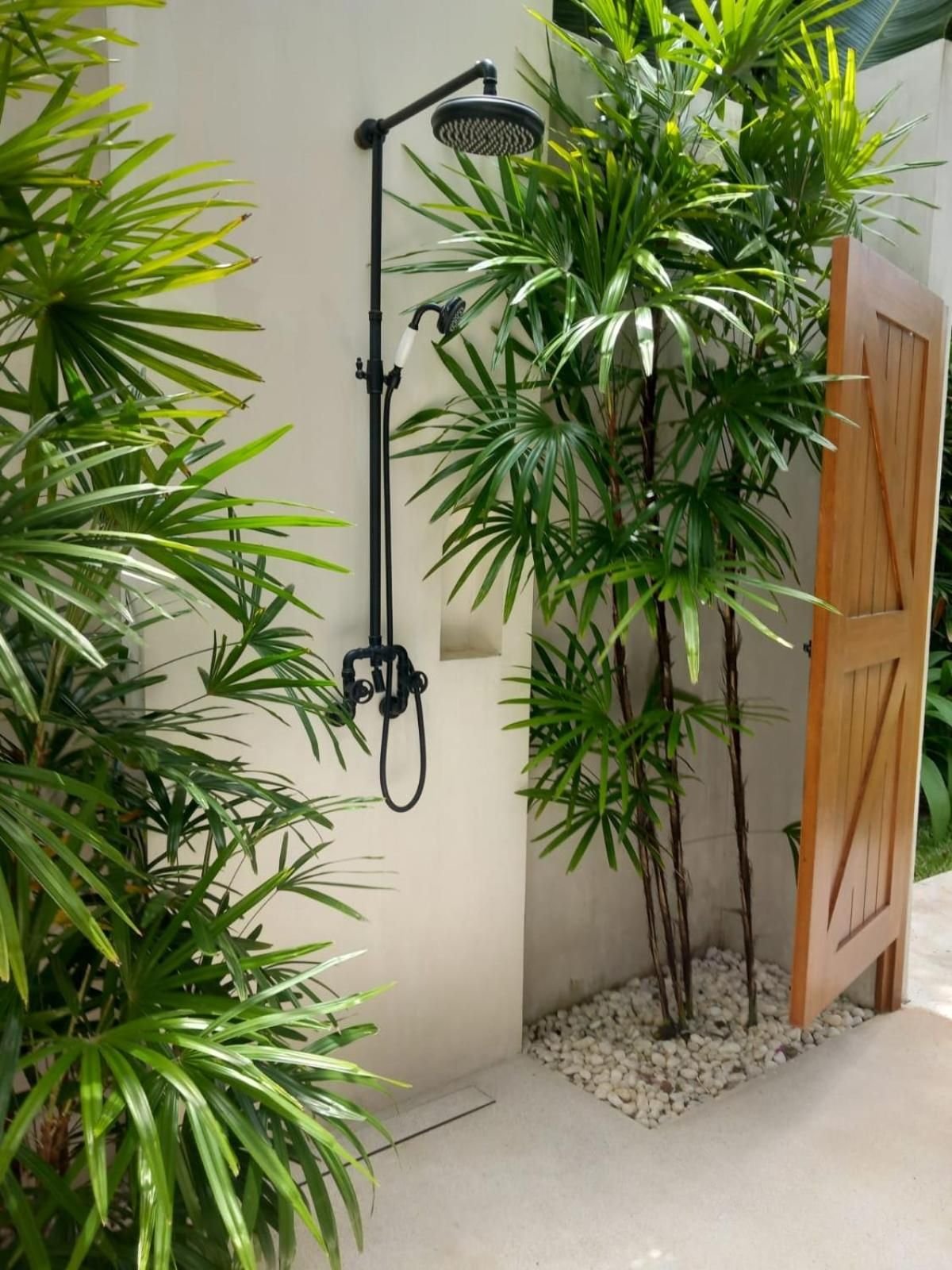 Garden shower with tropical plants