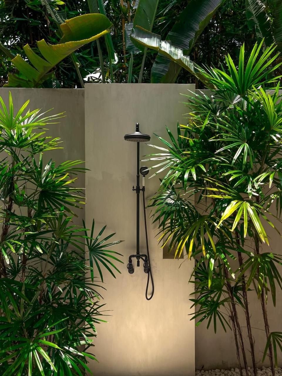 Outdoor rain shower framed by palms