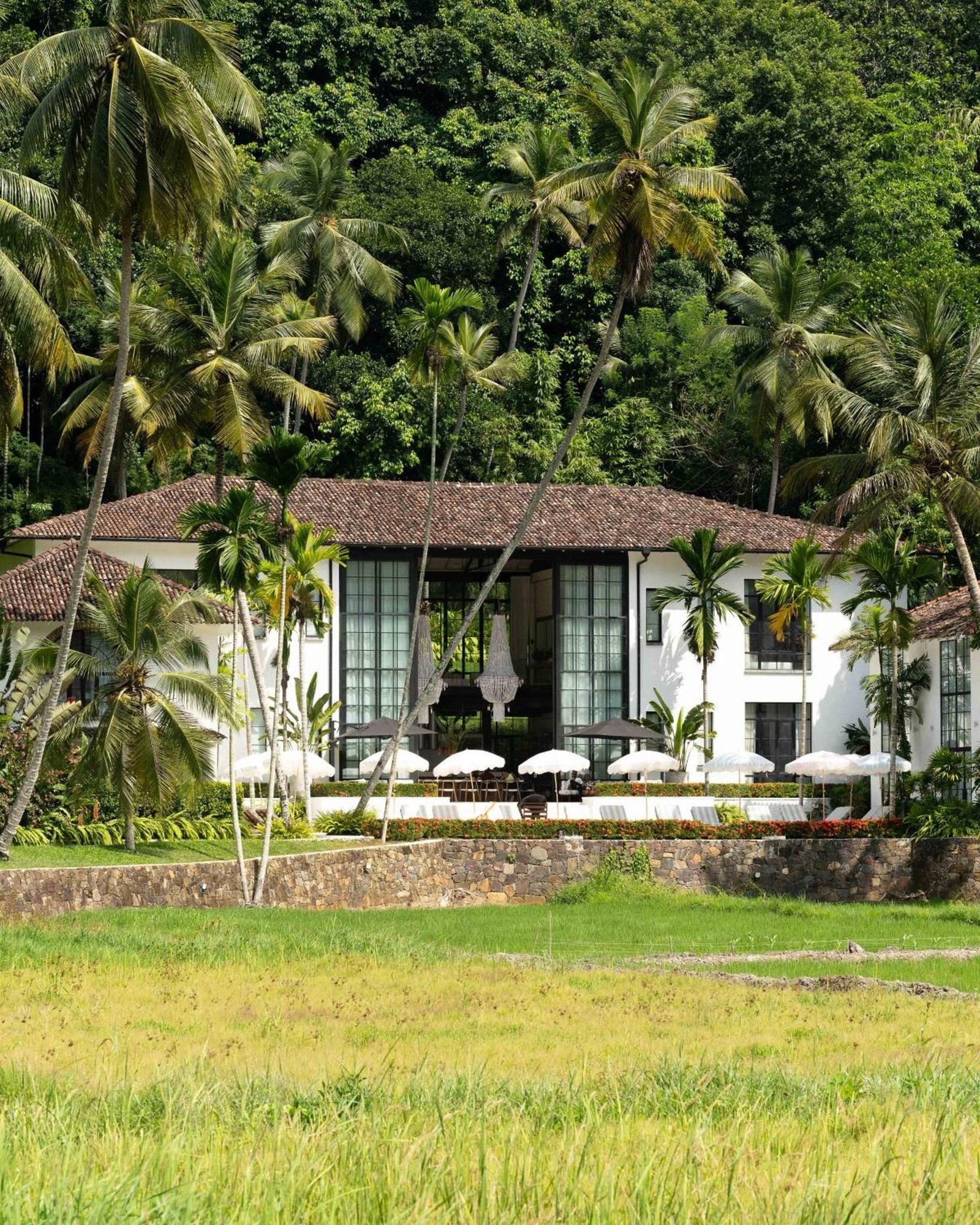 The white colonial facade seen across the paddy field