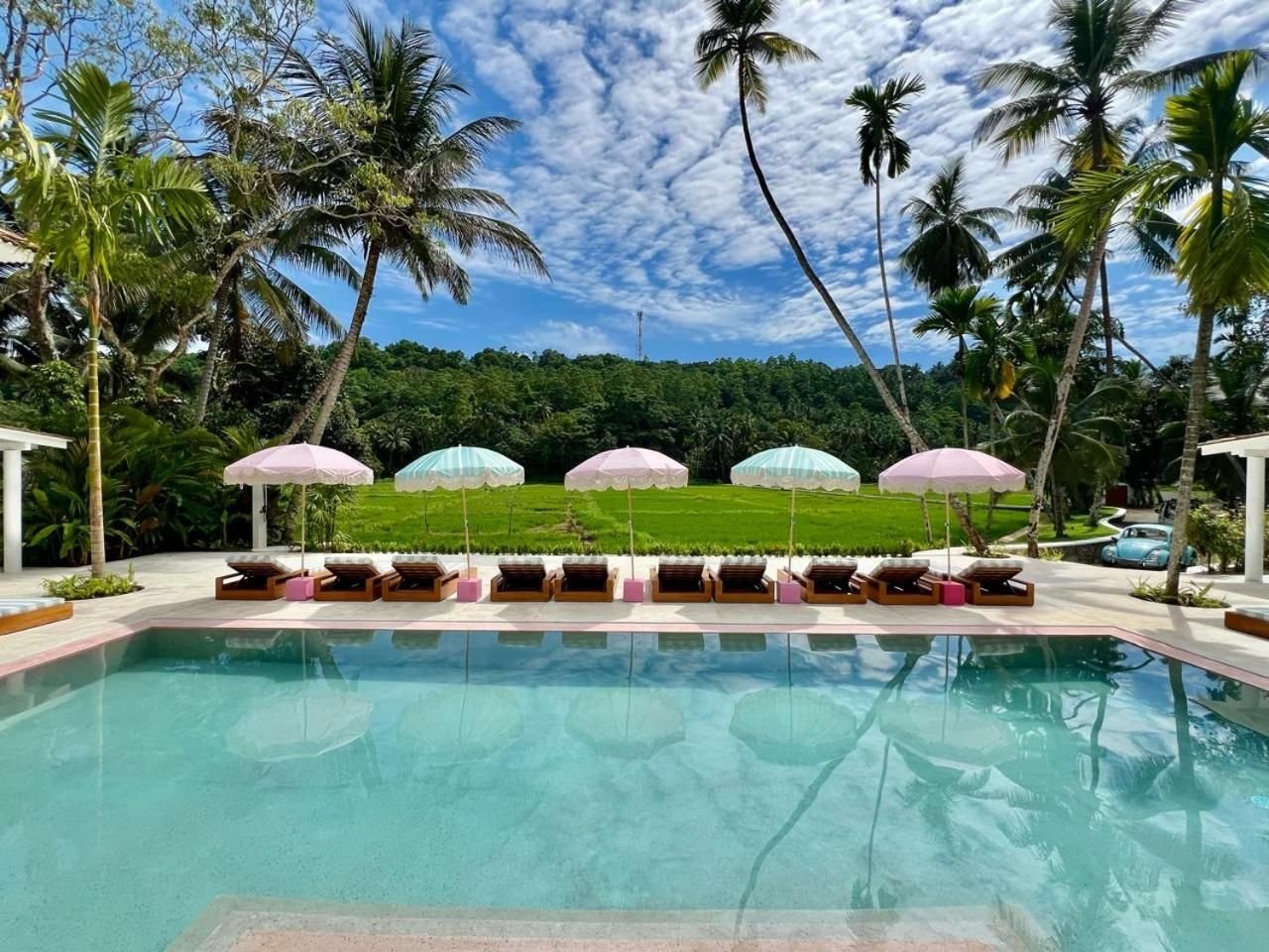 The infinity pool looking out over the paddy field to the jungle