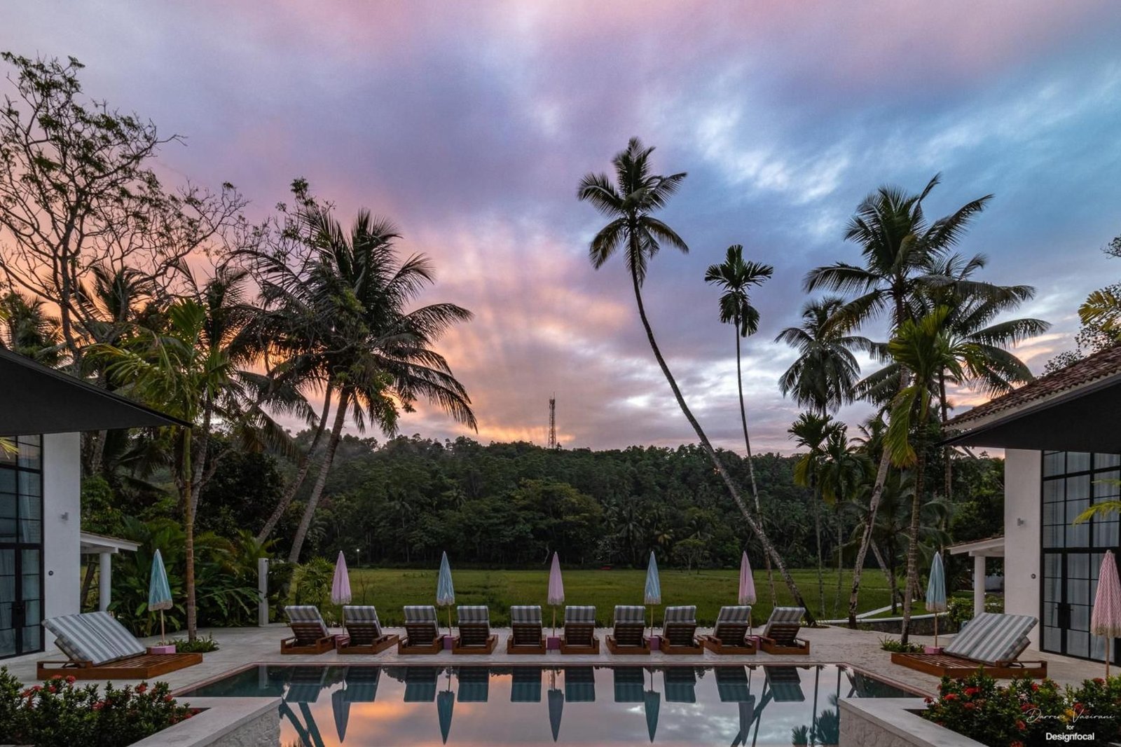 The pool at dusk under a pink sky and tall palms